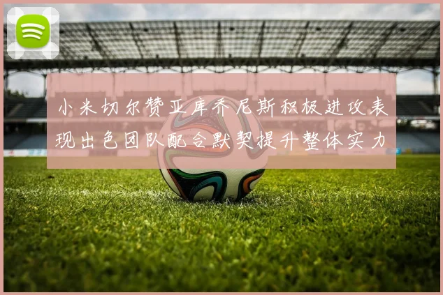 小米切尔赞亚库乔尼斯积极进攻表现出色团队配合默契提升整体实力