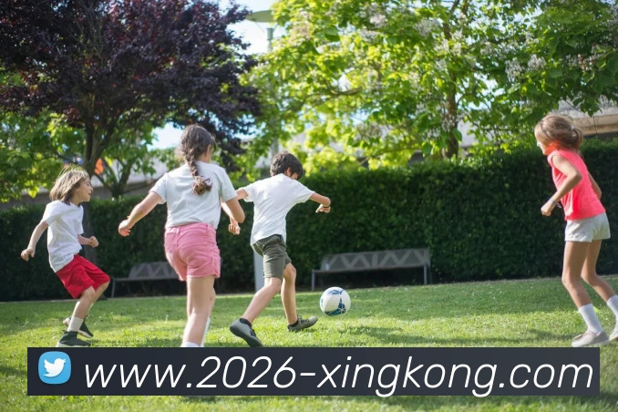 星空体育平台生态图