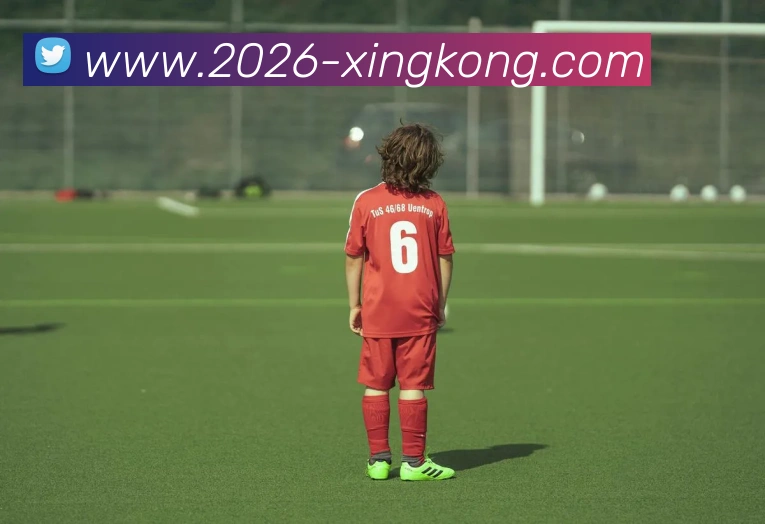 星空体育APP 封面图